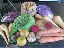 Fresh, healthy organic vegetables